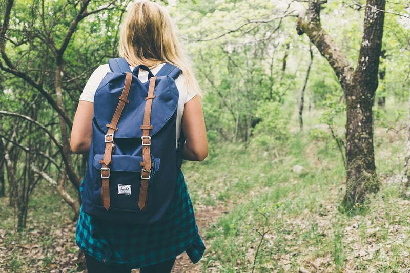 Meditative Walk in Nature